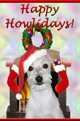 pic for Happy Holidays 320x480